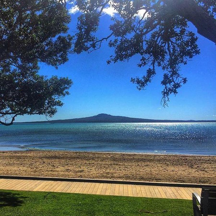 Kohimarama Beach Oasis