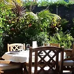 Kohimarama Beach Oasis